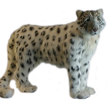 hansa snow leopard