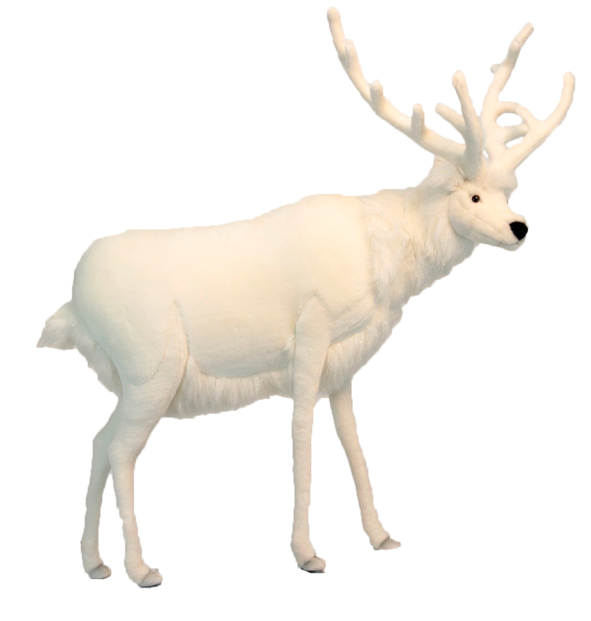 WHITE DEER MALE 48 WHITE DEER MALE 48