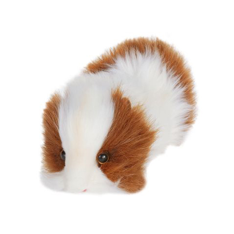 hansa guinea pig