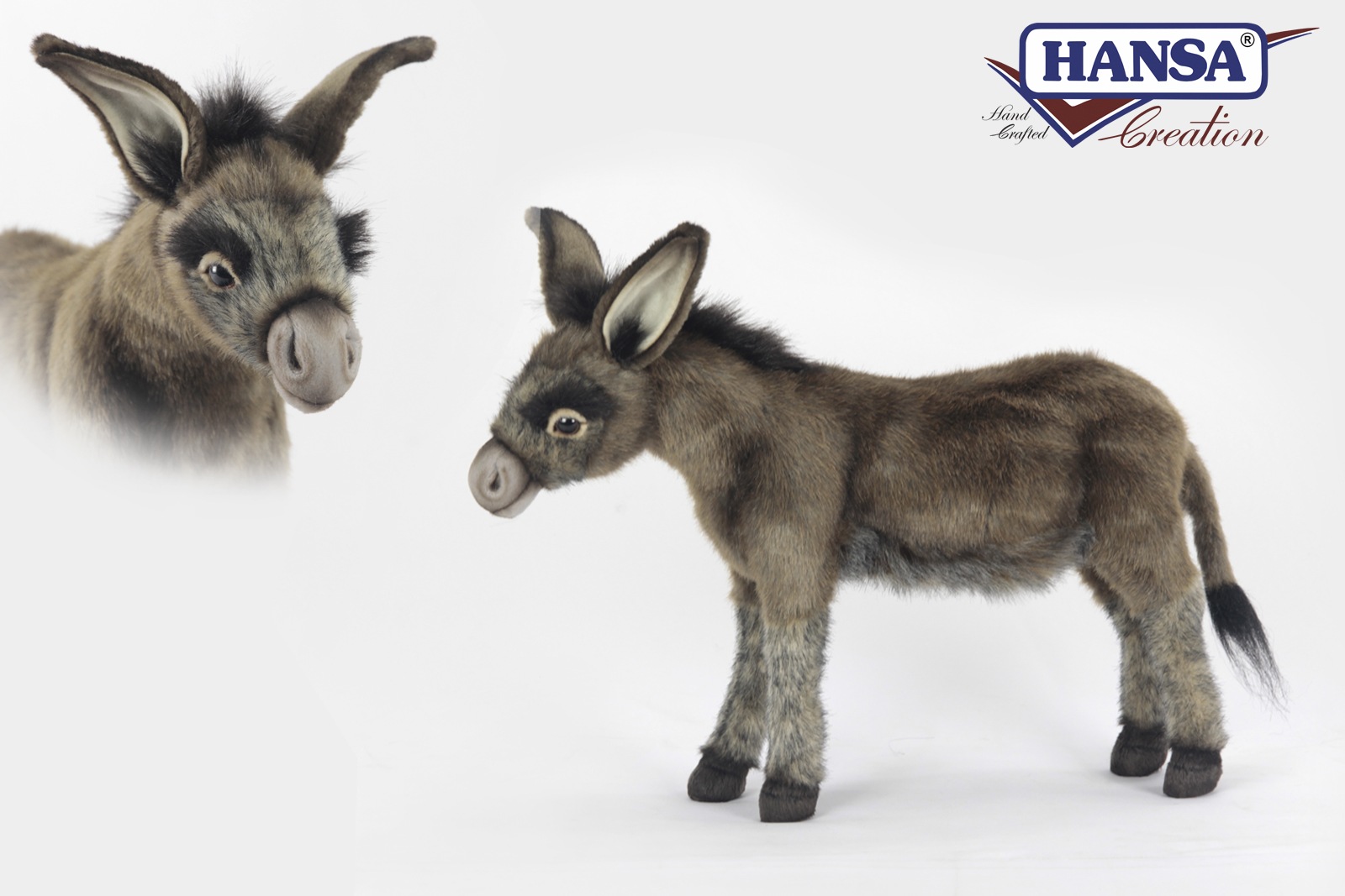 hansa donkey