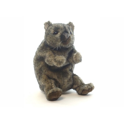 hansa wombat