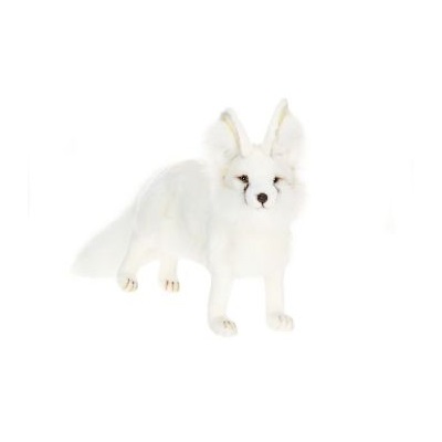 hansa fennec fox