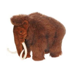 Extinct & Endangered