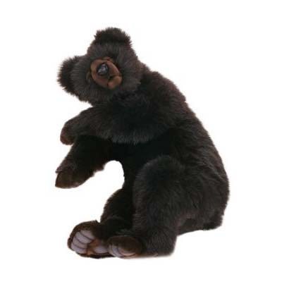 hansa bear