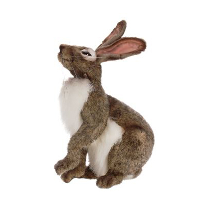 hansa jack rabbit
