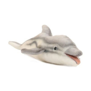 Sea Animals