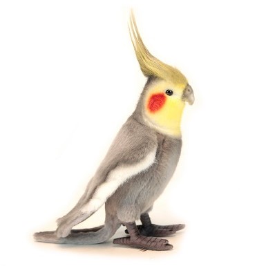 cockatiel plush