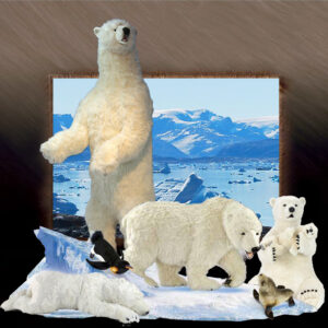 Arctic