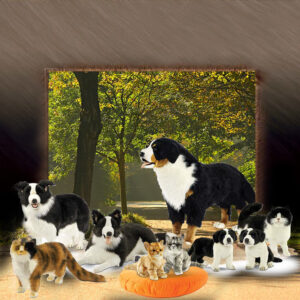 Dogs & Cats