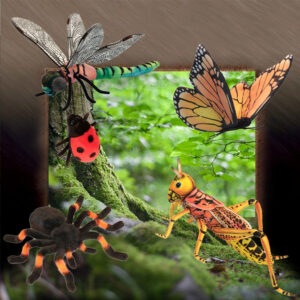 Insects