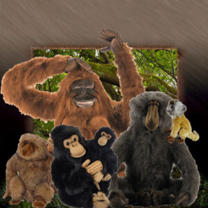 Monkeys