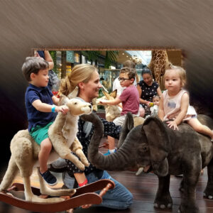Ride-on, Rockers & Seats