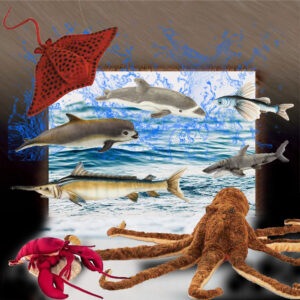 Sea Animals
